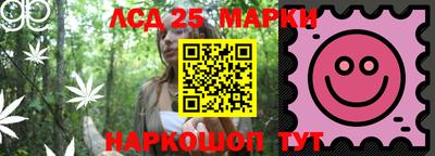 МДПВ Бердск
