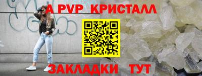 МДПВ Бердск