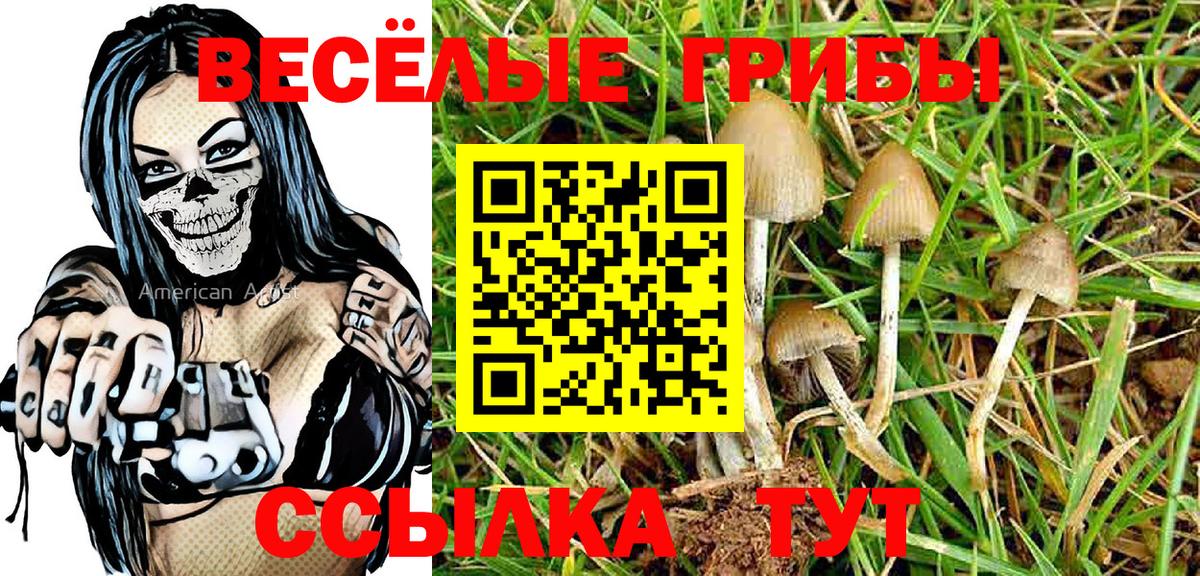 Псилоцибиновые грибы Psilocybine cubensis Гуково