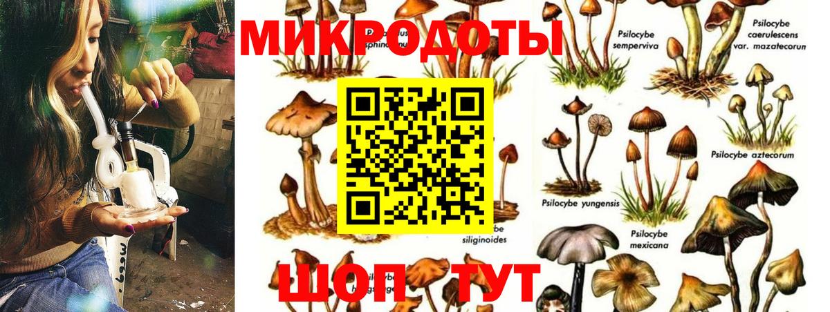 Псилоцибиновые грибы Psilocybine cubensis  Вход с VPN  Гуково 